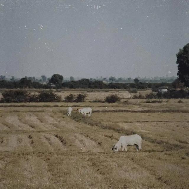 超赞的朋友圈背景图 背景图 月亮和星星会不会互道心事,超赞的朋友圈背景图怎么弄(好看的朋友圈背景图) 超赞的朋友圈背景图 背景图 月亮和星星会不会互道心事,超赞的朋友圈背景图怎么弄(好看的朋友圈背景图)