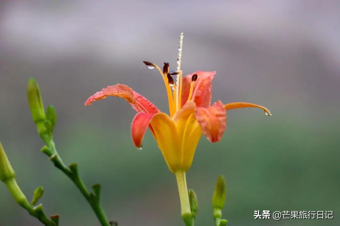 潮州属于哪个省，潮州是哪个省（有自己独特的语言、风俗和菜系）