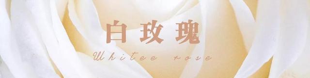 各种玫瑰花的含义，各色的玫瑰花有什么含意（一篇文章认全花店必备80种玫瑰花）