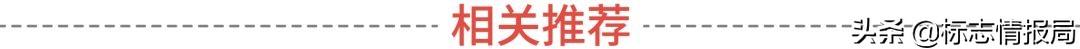 淘宝猫图鉴(猫品种图鉴)