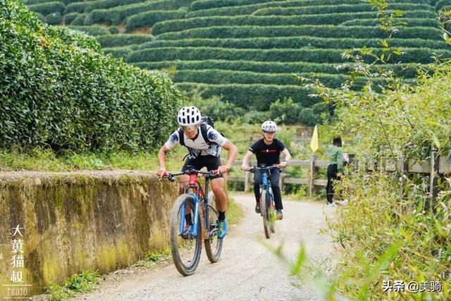 pxj（炮芯解说），梦想再大也不嫌大（炮芯解说合集）