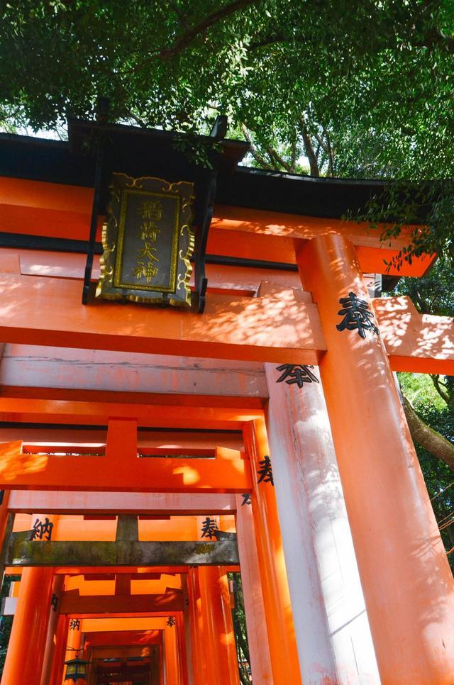日本鸟居有多可怕，日本鸟居最多的地方（千本鸟居，日本的标志性建筑）