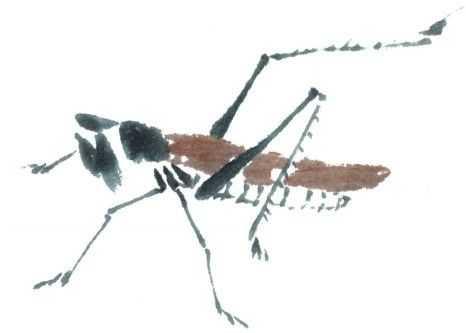 蜻蜓简笔画，蜻蜓简笔画彩色（老艺术家教你几个画法）