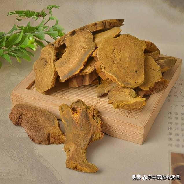 关于大黄属介绍，大黄属的特征是（每日一中药——攻下药“大佬”——大黄）