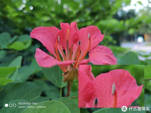 红米k20pro屏幕（请取下有色眼镜来看Redmi）