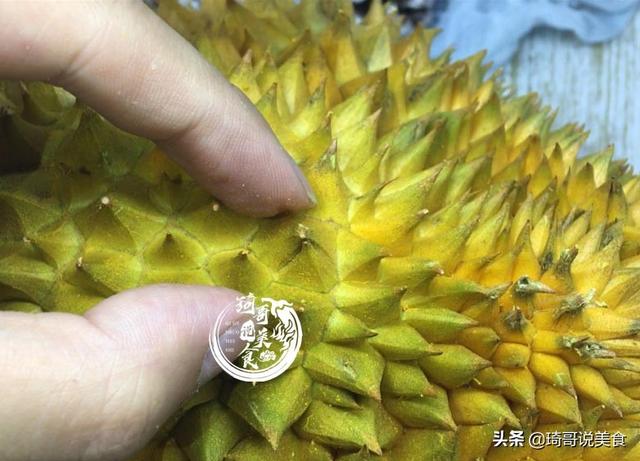 榴莲怎么挑，榴莲什么样子（不会挑的一定喊出这句话）