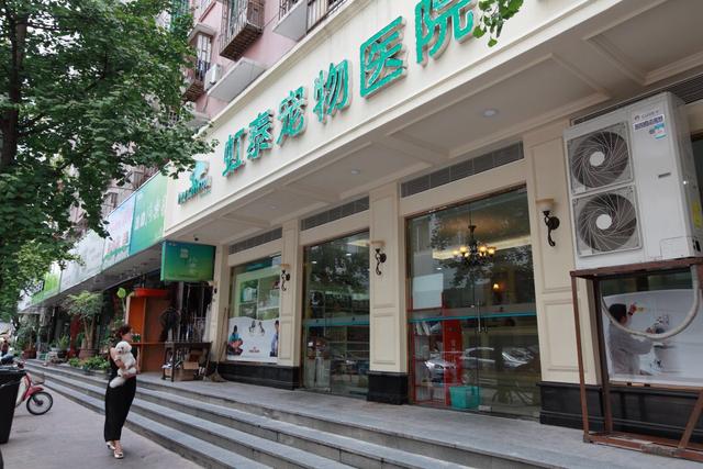 哈尔滨宠物医院，十大哈尔滨宠物医院排名（瑞派宠物医院告诉你最牛医院的正确打开方式）
