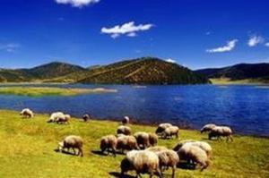 香格里拉海拔高度，香格里拉海拔高度多少米（中国“香格里拉”概述）