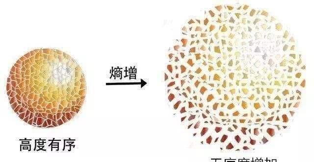 扭脖子杀人原理，扭脖子为什么会死人（是对小丑最大的不敬）