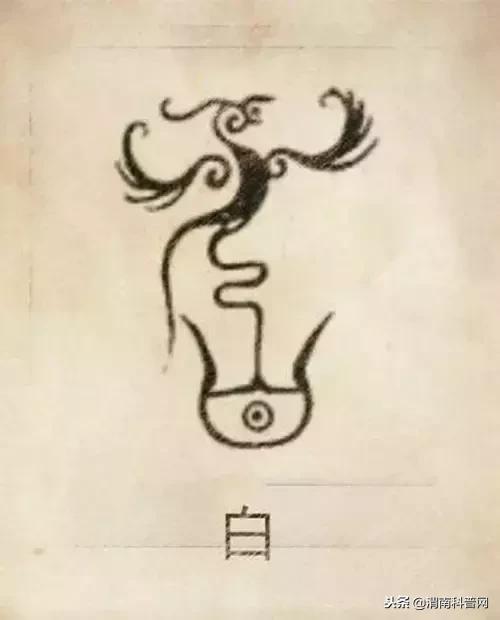 一个草字头一个吕，草字头加吕什么字（中国100大姓氏起源、图腾）