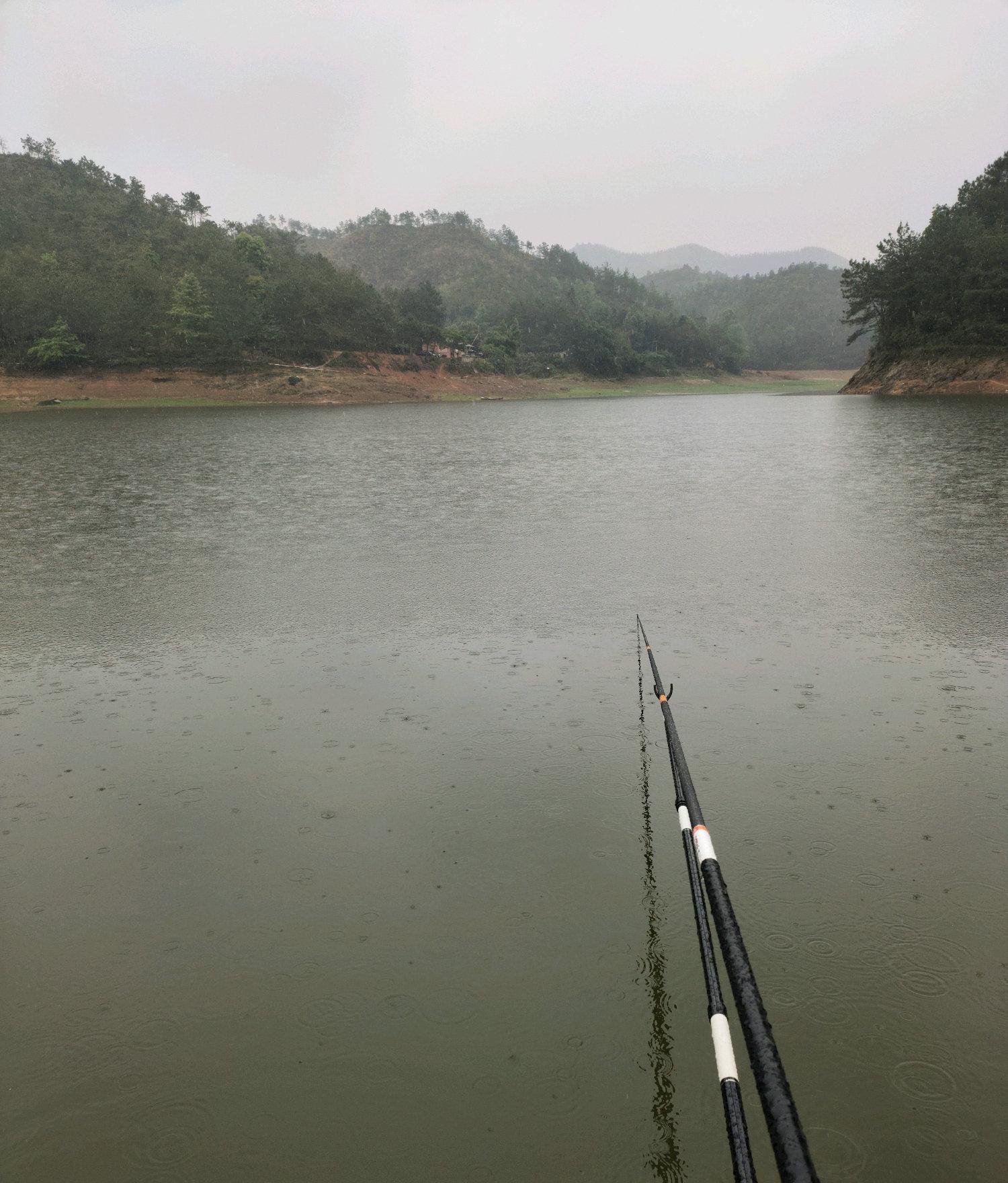 江西钓友水库惊喜钓获罕见巨型老鳜鱼，体型硕大引围观，堪称钓鱼界稀有战利品