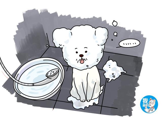 狗狗得螨虫有什么方法治，狗狗的螨虫怎么治（狗狗身上有螨虫该怎么办）