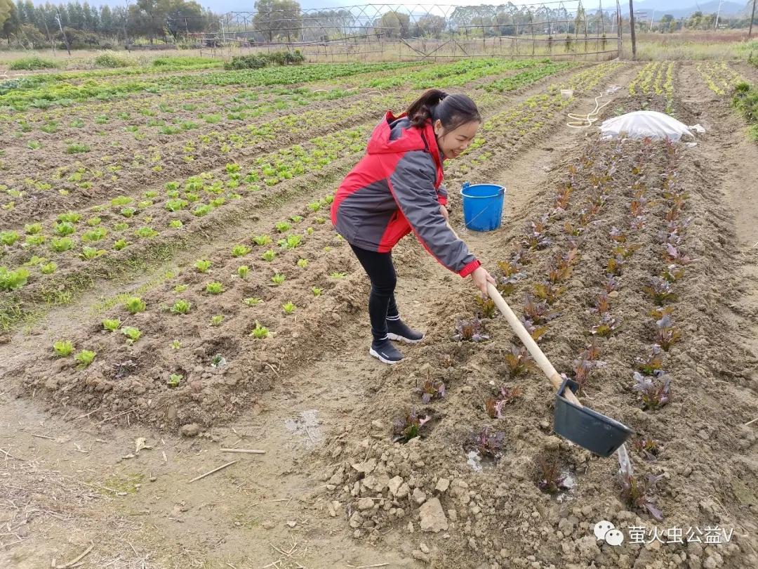 广东康力医药有限公司（企业志愿行）