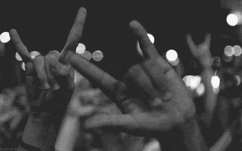 刺猬能活多久，刺猬活成猪