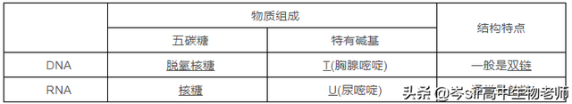 核糖体的主要成分，核糖体的主要组成成分是什么（遗传信息的转录过程）