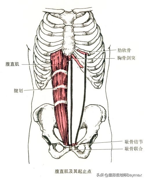 腹肌一上一下怎么矫正，腹肌不对称该怎么调整（腹肌不对称的原因、如何高效训练腹肌、正确的下腹训练）