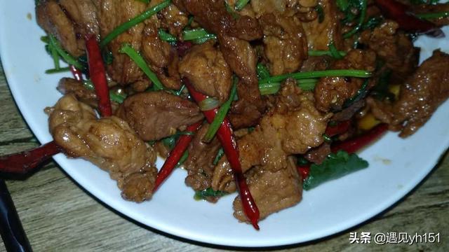 香菜炒肉做法窍门，香菜炒肉的做法 最正宗的做法（香菜炒肉对于喜欢吃香菜的来说就是美味）