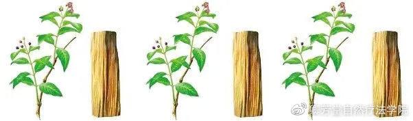 檀香精油的功效与作用，檀香精油、玫瑰、薰衣草分别的功效（赴一场心灵之约——檀香精油）