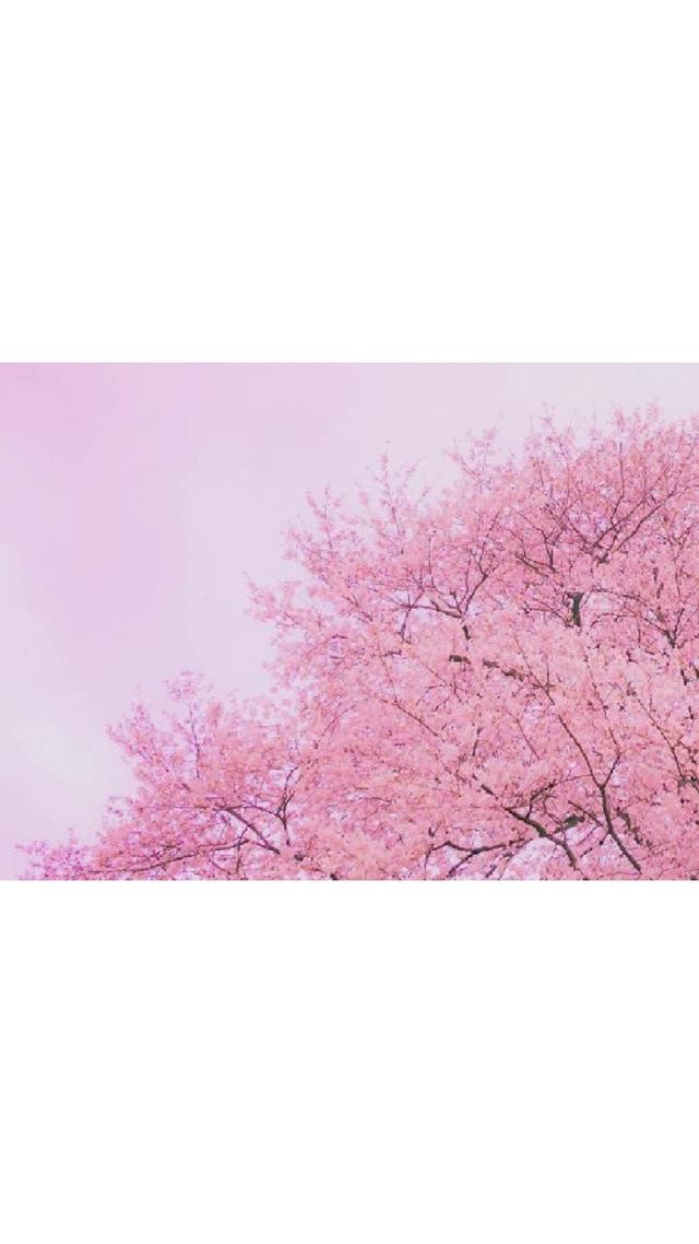 精选套图,精品首页套图(〔精选套图〕子兮子兮) 精选套图,精品首页套图(〔精选套图〕子兮子兮)