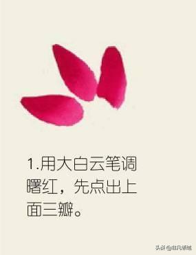 桃花简笔画怎么画，一学即会的步骤图（国画基础入门教程——燕子、柳树、桃花的画法）