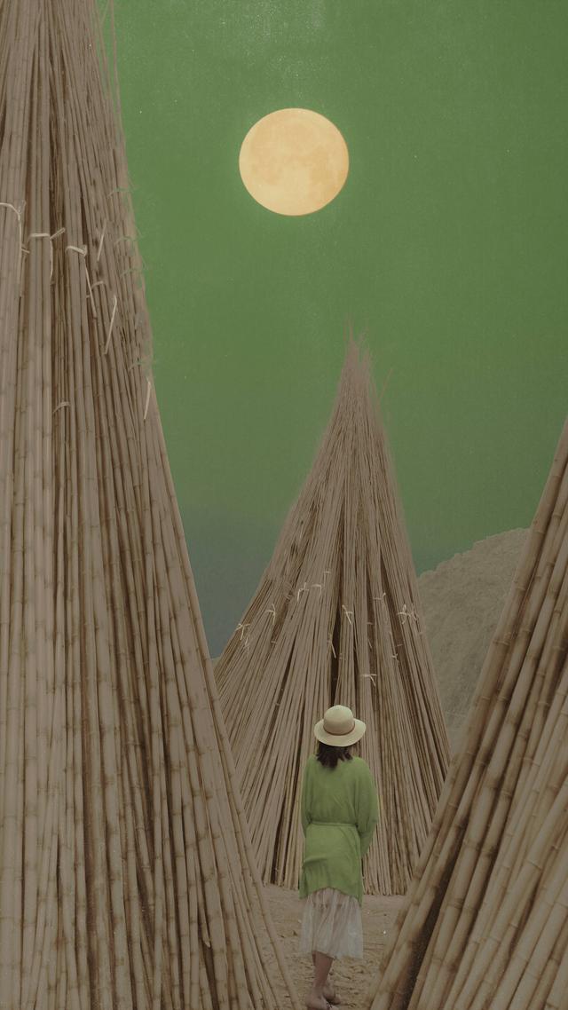 ins温柔意境森系背景图 “话太多，不是我的风格.”，森系图片复古森林（哇~这迷人的绿色森系壁纸）