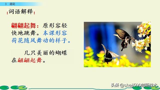 莲蓬的蓬是不是读轻声，莲蓬的蓬为什么读轻声（部编版语文三年级下册第3课《荷花》图文讲解）