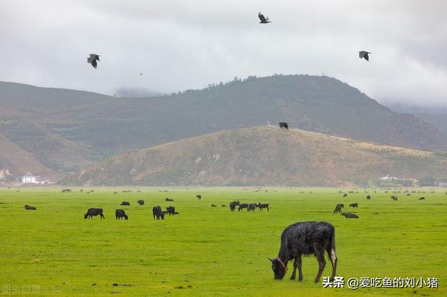 伊甸园到底在哪里，伊甸园在现在的什么位置（被称为人间的“伊甸园”）