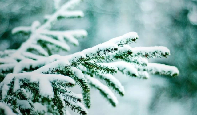 吃过夏至面一天短一线是什么意思，冬至吃了面一天长一线中一天长一线的意思（俗语：“吃了冬至面）