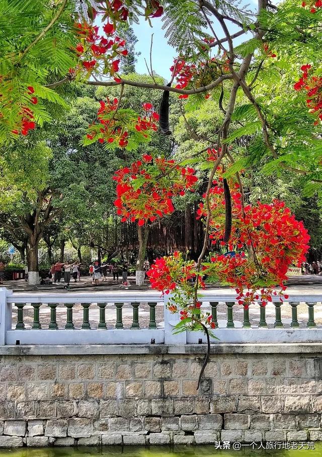 厦门最繁华的地方，厦门十大夜景最美的地方是什么（厦门却安静得令人心疼）