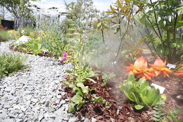 有创意的园林名字，有创意的园林名字大全（究竟蕴含着哪些景观设计）