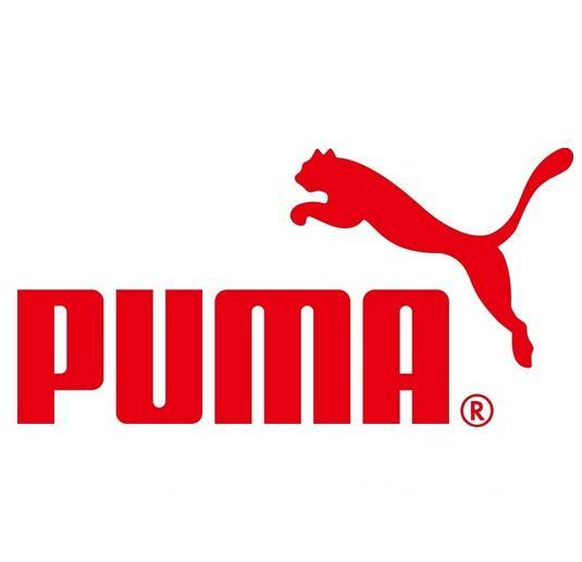 阿迪达斯创始人的哥哥所创建的品牌——Puma(彪马)
