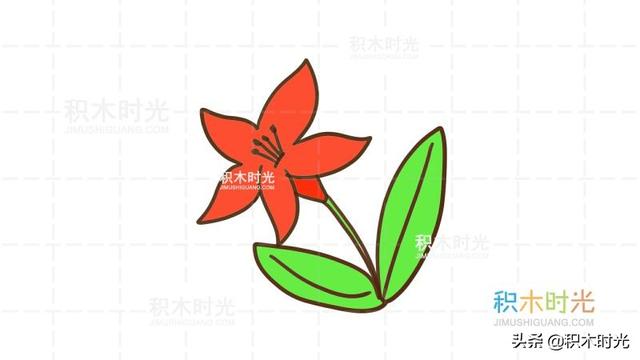 百合花的简笔画，如何画漂亮的简笔百合花（百合花简笔画教程）