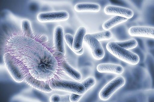 阴虱怎么治疗，阴虱怎么治疗硫磺软膏（30年前男女老少都长虱子）