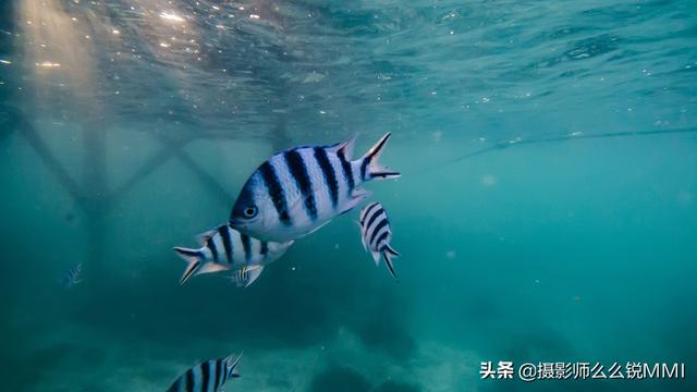 梦幻天堂游戏手机版下载，梦幻天堂经营手游官网最新版下载安装安卓版appv45.0.2（我才明白什么叫做梦幻天堂）