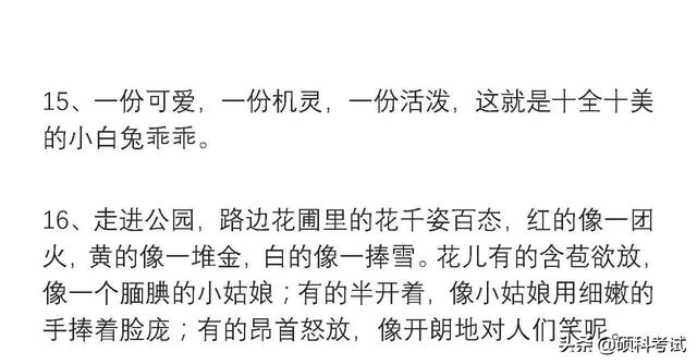 二年级好句大全，二年级好词好句积累（小学语文二年级好词好句积累）