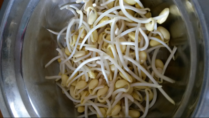 豆子泡水里，湿毛巾捂一捂，5天长出芽苗菜