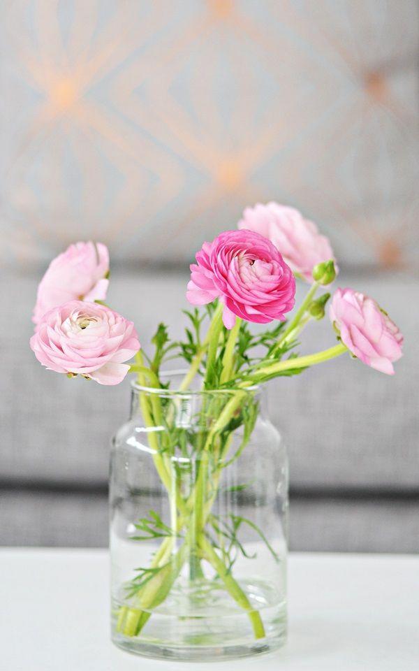 白玫瑰ins，白玫瑰ins风照片（2019年风靡ins的4种装饰鲜花图片）