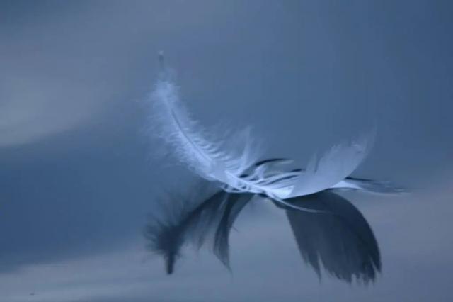 生命中不能承受之轻，生命中不可承受之轻是什么意思（我们为何不能接受生命之轻）