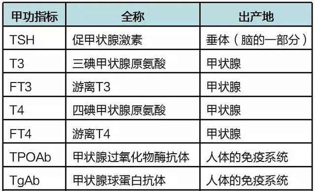 甲功七项化验单解读，甲功七项化验单详细解析（最全甲状腺B超、甲功报告全解析）