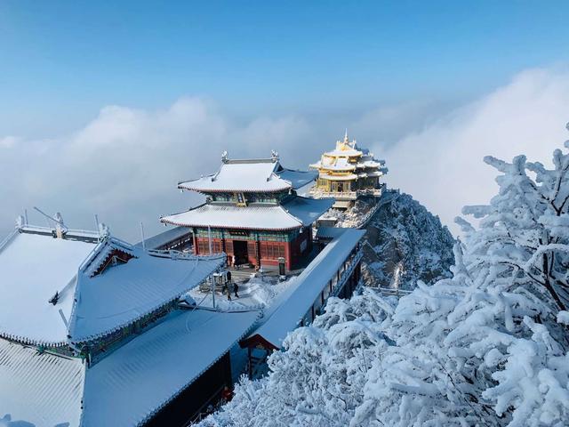 老君山在什么地方，老君山在什么地方是哪个省（老君山云海平均每年多达130天）