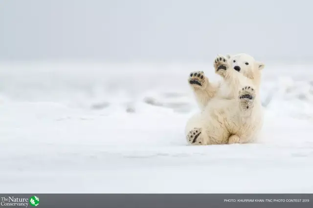 怦然心动美图，怦然心动最新图片（美图 ， 这一瞬间的怦然心动）