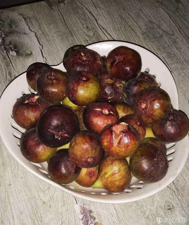 不锈钢盆可以放烤箱吗，烤箱里可以放不锈钢盆吗（10种花最养人）