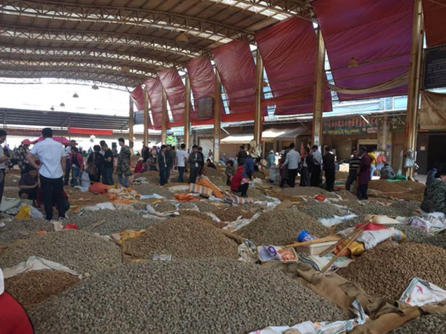 三七生产地在什么地方，三七产地在哪里（柴胡、党参、黄芩、菟丝子、灵芝、三七）