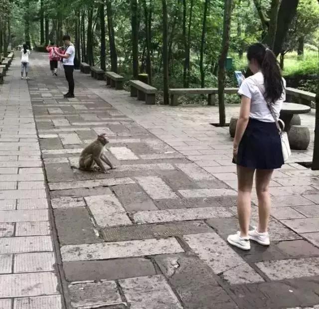 遇到心机girl怎么办,碰上心机女该怎么做(我家兵哥把我宠上天了) 遇到心机girl怎么办,碰上心机女该怎么做(我家兵哥把我宠上天了)