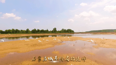浮沱河在什么地方，滹沱河游玩攻略（——石家庄的母亲河）