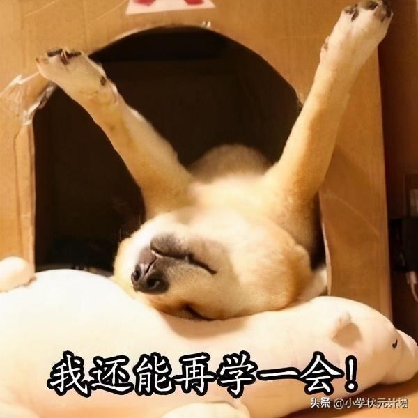 八八折怎么算(8折怎么算是多少钱)