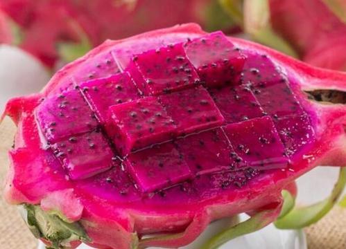 火龙果种植方法，能吃能观赏的火龙果，如何盆栽