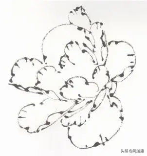 牡丹花头的画法对照表，写意牡丹花头的各种画法