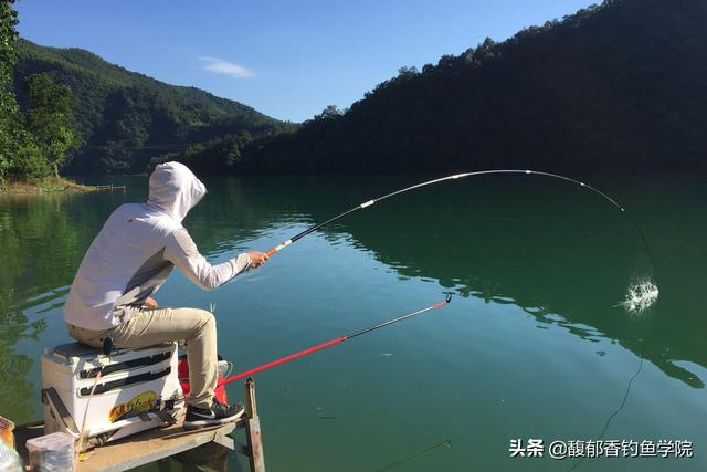 钓鱼的技巧和要领，钓鱼必学技巧（钓鱼人必须掌握的四大要点）