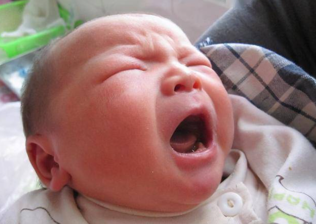 牛奶初乳的营养价值，什么牛奶含有牛初乳（初乳对新生儿来说堪比“金子”）